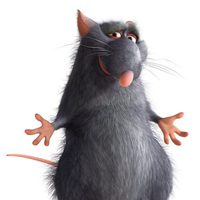 Ratatouille