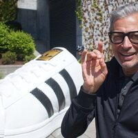 Foto de 'The World According to Jeff Goldblum'