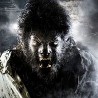 Foto de 'The Wolfman'