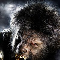 Foto de 'The Wolfman'