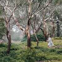 Picnic at Hanging Rock