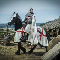 Foto de 'Knightfall'