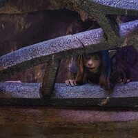 Foto de 'The Dark Crystal: Age of Resistance'