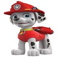 Foto de 'Paw Patrol'