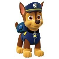 Foto de 'Paw Patrol'