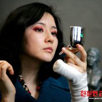 Sympathy for Lady Vengeance