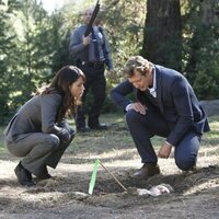 The Mentalist