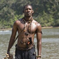 Foto de 'Roots'