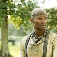 Foto de 'Roots'