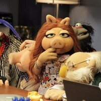 The Muppets