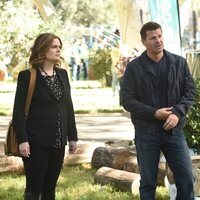 Foto de 'Bones'