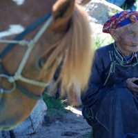 Foto de 'Two Horses of Genghis Khan'