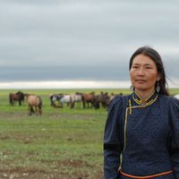 Foto de 'Two Horses of Genghis Khan'