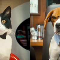 Foto de 'Cats & Dogs: The Revenge of Kitty Galore'