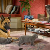 Foto de 'Cats & Dogs: The Revenge of Kitty Galore'