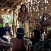 The Buriti flower