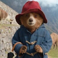 Foto de 'Paddington in Perú'