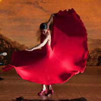 Foto de 'Flamenco, flamenco'