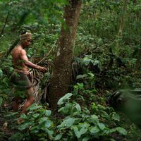 Foto de 'Uncle Boonmee Who Can Recall His Past Lives'