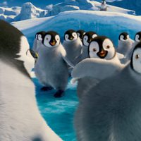 Foto de 'Happy Feet 2'