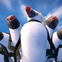 Foto de 'Happy Feet 2'