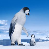 Foto de 'Happy Feet 2'