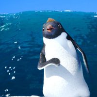 Foto de 'Happy Feet 2'