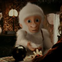 Snowflake, the White Gorilla