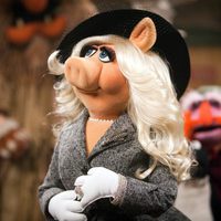 Foto de 'The Muppets'