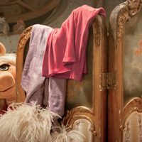 Foto de 'The Muppets'