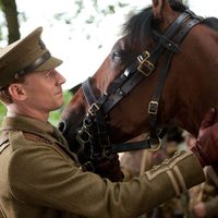 Foto de 'War Horse'