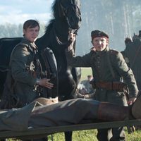 Foto de 'War Horse'