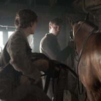 Foto de 'War Horse'