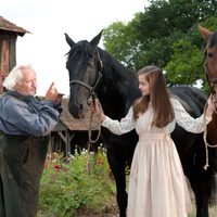 Foto de 'War Horse'