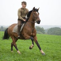 Foto de 'War Horse'