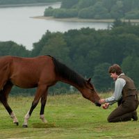 Foto de 'War Horse'