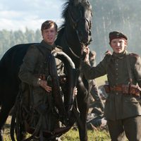 Foto de 'War Horse'