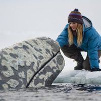 Big Miracle