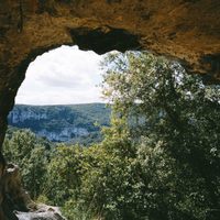 Foto de 'Cave of Forgotten Dreams'