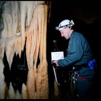 Foto de 'Cave of Forgotten Dreams'