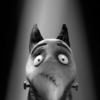 Foto de 'Frankenweenie'