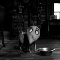 Foto de 'Frankenweenie'