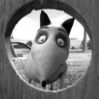 Foto de 'Frankenweenie'