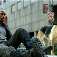 Foto de 'I am legend'