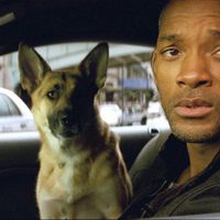 Foto de 'I am legend'