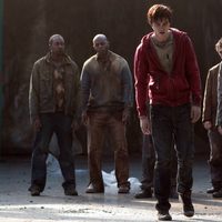 Warm Bodies