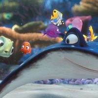 Finding Nemo