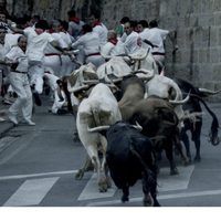 Bull Running in Pamplona