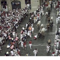 Bull Running in Pamplona