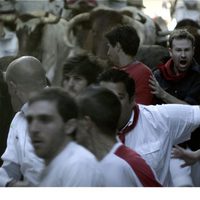 Bull Running in Pamplona